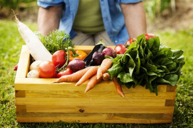 Box filled fresh vegetable clipart