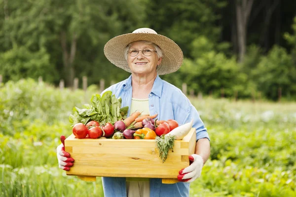 Seniorin mit Gemüse — Stockfoto