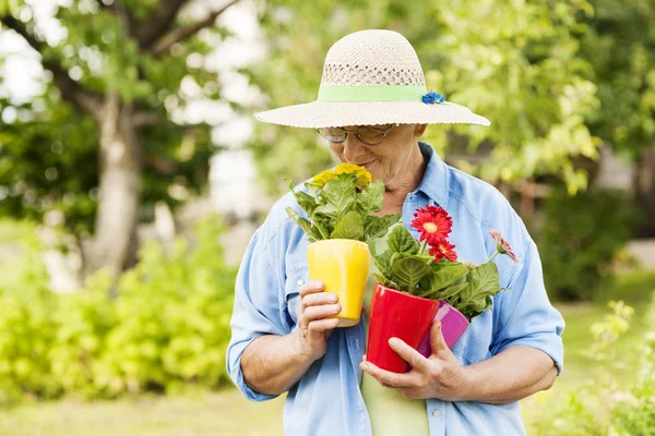 Senior woman smelling flowers — Stockfoto