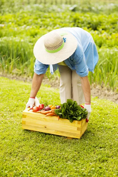 Seniorin nimmt Schachtel mit frischem Gemüse in die Hand — Stockfoto