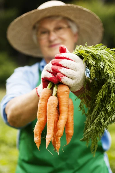 Senior woman with carrot — Stock Photo, Image