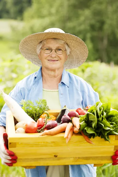 Senior woman with vegetable — Stock Photo, Image