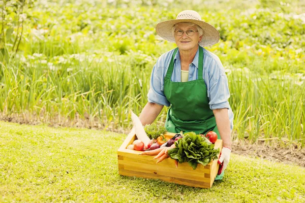 Senior woman with vegetable — Stock Photo, Image