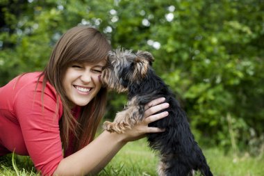 sevimli köpek yavruları