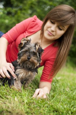 genç kadın ile Yorkshire terrier köpek yavrusu