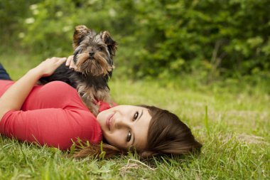 sevimli köpek yavruları