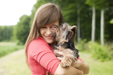 sevimli köpek yavruları