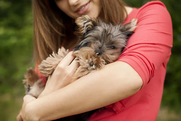 Lindo cachorro en brazos de mujer — Foto de Stock