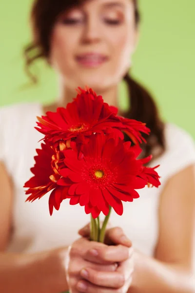 Kırmızı gerbera buketi — Stok fotoğraf