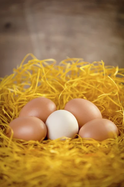 Wenige Eier — Stockfoto