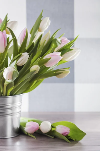 Lente decoratie — Stockfoto