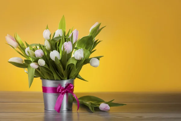 Tulips in pot — Stock Photo, Image