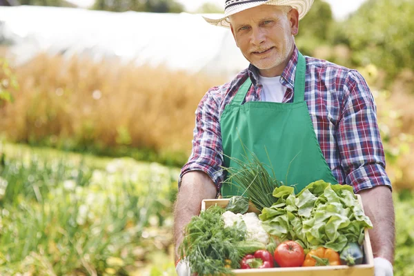 Mann mit seiner Ernte — Stockfoto