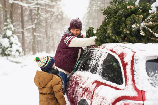 車の屋根にクリスマスツリーをロードする息子と男 — ストック写真