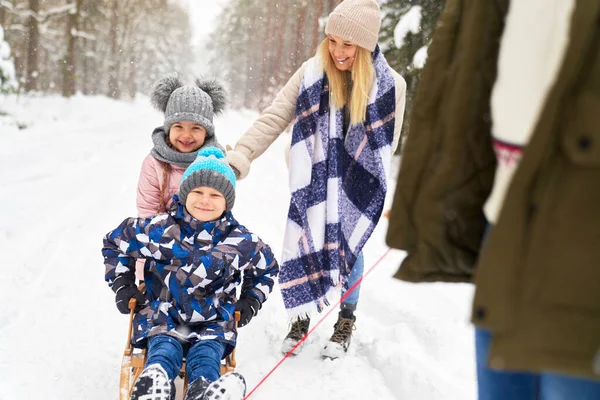 Família Passar Dia Livre Inverno — Fotografia de Stock