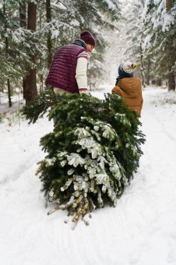 Baba oğul Noel için hazırlanıyor. 