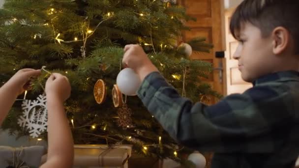 兄弟一緒にクリスマスツリーを飾る 8Kでレッドヘリウムカメラで撮影 — ストック動画