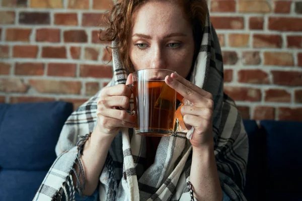 Close Ill Caucasian Young Woman Covered Blanket Drinking Hot Tea — Stock Photo, Image