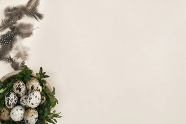 Fotokopi alanı olan paskalya yumurtalarının tam üstünde. 