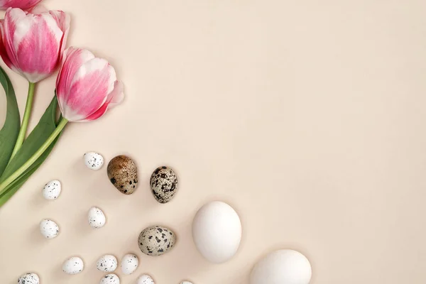 Безпосередньо Над Пострілом Натуральних Яєць Весняних Квітів — стокове фото