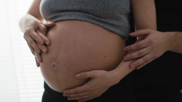 先進妊娠中の母親の詳細と腹部に触れる将来の父親 8Kでレッドヘリウムカメラで撮影 — ストック動画