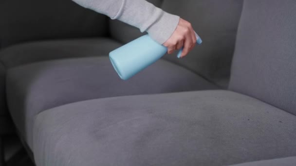 Sofá Refrescante Para Mujer Con Spray Bricolaje Fotografía Con Cámara — Vídeos de Stock