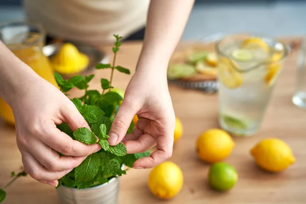 Unrecognizable Person Adding Fresh Mint Jug Lemonade — Foto de Stock