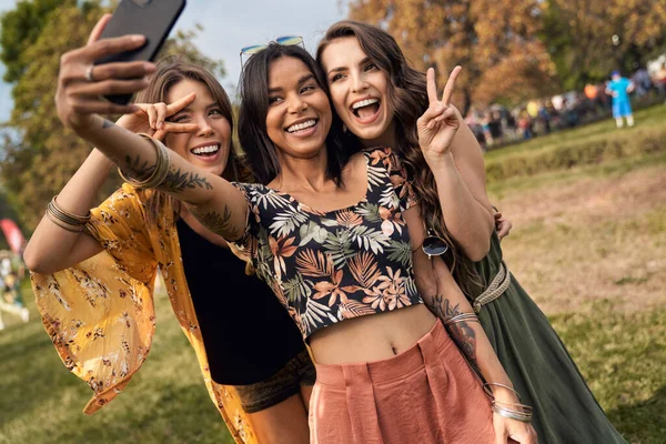 Group Friends Making Selfie Music Festival — Foto de Stock