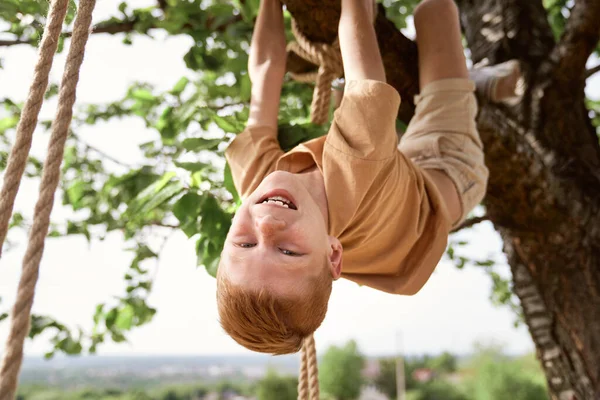 Caucasien Garçon Accroché Envers Sur Arbre Branche — Photo