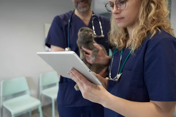 Lähikuva Kaksi Eläinlääkärin Analysoida Lääketieteelliset Testit Kissan Klinikalla — kuvapankkivalokuva