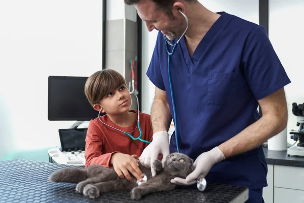Männlicher Arzt Zeigt Wie Man Katze Untersucht — Stockfoto