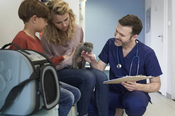 Frau Mit Kind Und Katze Besuch Beim Tierarzt — Stockfoto