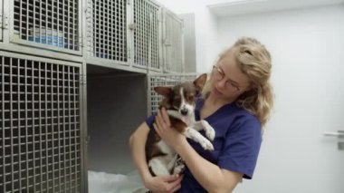 Bayan veteriner doktor küçük köpeği kafeslerde tutuyor. 4K 'da kırmızı helyum kamerayla çekildi.. 