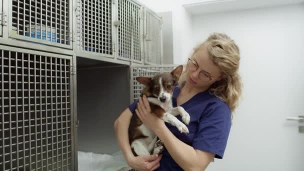 Vrouwelijke Dierenarts Met Kleine Hond Kooien Opgenomen Met Red Helium — Stockvideo