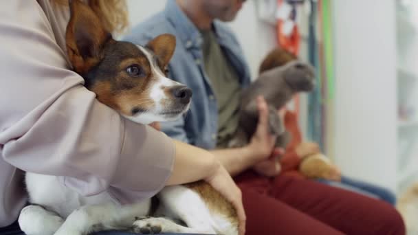 Propriétaires Animaux Attente Visite Chez Vétérinaire Tourné Avec Caméra Hélium — Video