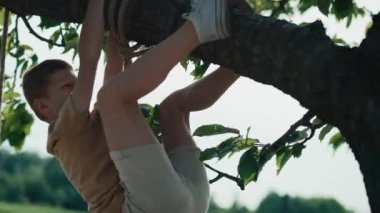 Kızıl çocuk yaz günü ağaca tırmanıyor. 