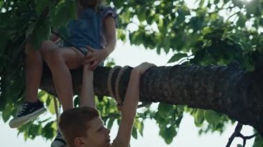 Mutlu çocuklar yaz günlerinde ağaçta vakit geçirirler. 