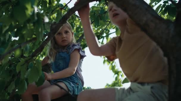 Dos Niños Sentados Árbol Día Verano — Vídeos de Stock