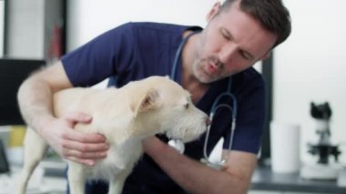 Tıbbi klinikteki beyaz erkek veterinerin portresi. 4K 'da kırmızı helyum kamerayla çekildi..   