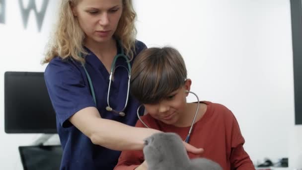 Female Doctor Showing How Examine Cat Shot Red Helium Camera — Stockvideo