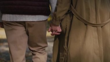 Rear view of caucasian couple walking at the park and holding hands. Shot with RED helium camera in 4K     