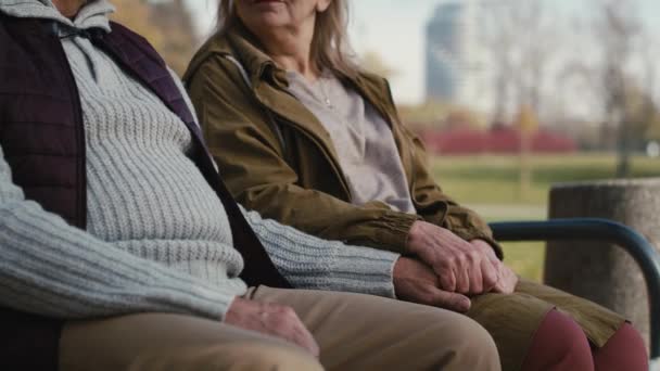 Caucasian Senior Couple Sitting Bench Park Holding Hands Shot Red — Vídeo de Stock