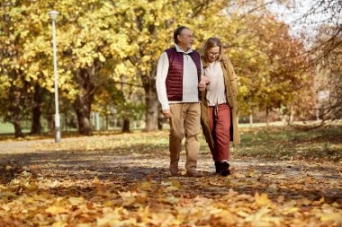 Senior woman and man walking together at the park during the autumn 