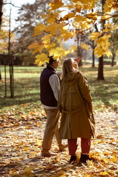 Senior Caucasian Couple Walking Park Autumn — стоковое фото