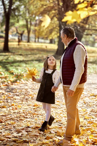 Senior Man Her Granddaughter Walking Park Autumn — стоковое фото
