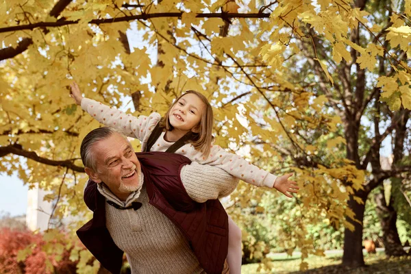 Senior Man Her Granddaughter Playing Park Autumn — стоковое фото