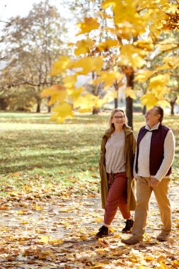 Kıdemli kadın ve erkek sonbahar boyunca parkta birlikte yürüyorlar. 