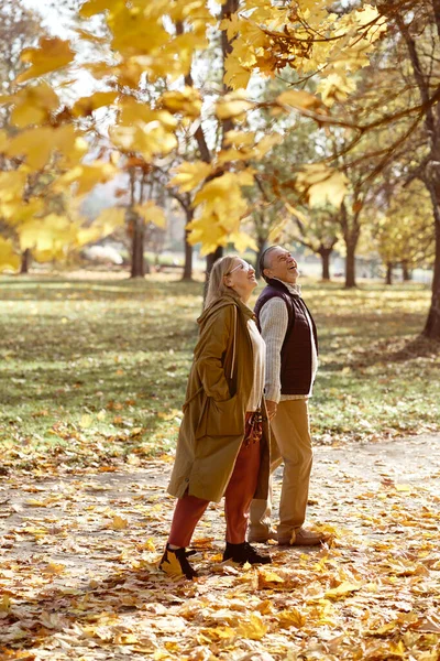 Senior Caucasian Couple Walking Park Autumn — Φωτογραφία Αρχείου