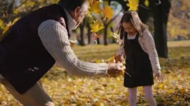 Caucasian grandfather playing by leaf with his granddaughter in park. Shot with RED helium camera in 4K  