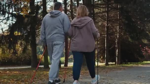 Rear View Caucasian Senior Couple Nordic Walking Park Shot Red — 图库视频影像